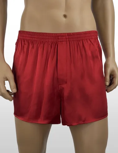 Silk Boxer inSilk Silkbasics